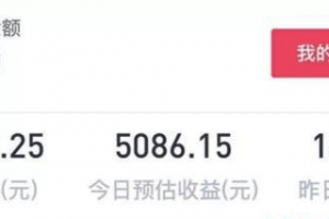 短視頻變現(xiàn)干貨：抖音小程序的實(shí)操變現(xiàn)玩法！