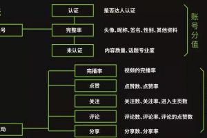一套模板快速變現(xiàn)，小白也能做的抖音垂直號