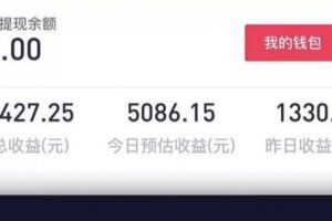 [抖音小程序?qū)崙?zhàn)教程]0基礎(chǔ)小白每天躺賺6000+的抖音小程序?qū)崙?zhàn)教程