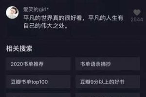 [抖音SEO流量]案例分析抖音SEO流量的秘密 獲取百萬流量進(jìn)行賺錢變現(xiàn)