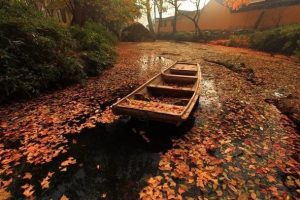 [拼多多套路]揭秘一個(gè)拼多多套路，“退貨”居然也可以賺錢