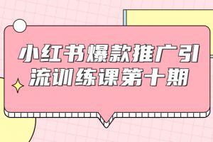 小紅書爆款推廣引流訓練課第十期，手把手帶你玩轉小紅書，輕松月入過萬