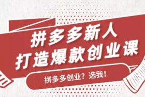拼多多新人打造爆款創(chuàng)業(yè)課：快速引流持續(xù)出單，適用于所有新人