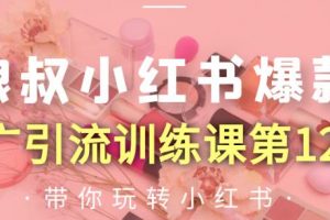 狼叔小紅書爆款推廣引流訓練課第12期，手把手帶你玩轉小紅書