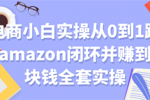 電商小白實操從0到1跑通amazon閉環并賺到一塊錢全套實操【付費文章】