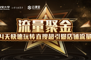 淘寶大學(xué)：流量聚金14天快速玩轉(zhuǎn)直搜，超引爆店鋪流量，價(jià)值8800元