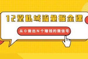 12堂私域流量掘金課：打通私域４大關(guān)卡，從０做出Ｎ個賺錢的微信號