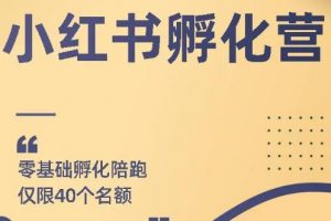 勇哥小紅書擼金快速起量項目：教你如何快速起號獲得曝光，做到月躺賺在 3000+