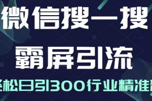 微信搜一搜霸屏引流課，打造被動精準引流系統(tǒng)，輕松日引300行業(yè)精準粉