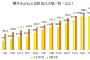藍海項目拼多多視頻帶貨課，2022年入百萬新風口【視頻教程+軟件】