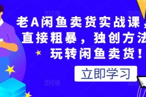 老A閑魚賣貨實戰課，簡單直接粗暴，獨創方法帶你玩轉閑魚賣貨！
