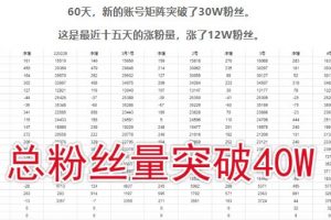 倪葉明·藍(lán)海公眾號(hào)矩陣項(xiàng)目訓(xùn)練營(yíng)，0粉冷啟動(dòng)，公眾號(hào)矩陣賬號(hào)粉絲突破30w