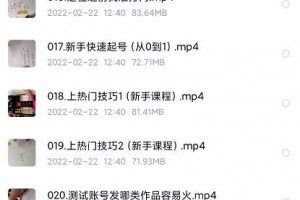 北極星-阿輝短視頻運營實操班，0-1系統(tǒng)教學(xué)，?7-15天獨立運營賬號