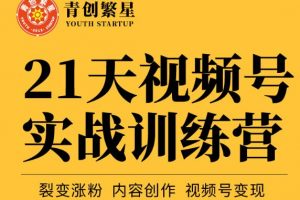 張萌21天視頻號實戰訓練營，裂變漲粉、內容創作、視頻號變現 價值298元