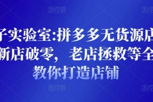 野路子實(shí)驗(yàn)室:拼多多無貨源店群項(xiàng)目，新店破零，老店拯救等全方位教你打造店鋪