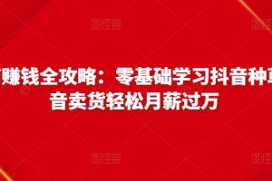 抖音電商賺錢全攻略：零基礎學習抖音種草，靠抖音賣貨輕松月薪過萬