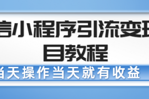 微信小程序引流變現(xiàn)項目教程，當(dāng)天操作當(dāng)天就有收益，變現(xiàn)不再是難事