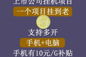 正規(guī)掛機(jī)項目，支持手機(jī)電腦一起掛，支持虛擬機(jī)多開，可以掛到老