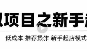 虛擬項目快速起店模式，0成本打造月入幾萬虛擬店鋪！