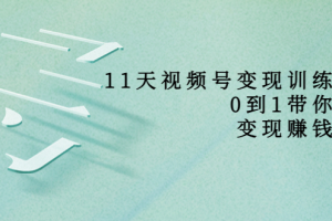 11天視頻號變現訓練營，從0到1打造變現賺錢系統（價值398元）
