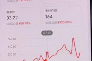 小紅書無貨源第3版，0投入起店，無腦圖文精細化玩法，每天收益300+