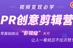 抖音賺錢必學的PR創意剪輯：零基礎做出“影視級”大片，讓人一看就忍不住為你點贊！