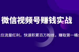 微信視頻號賺錢實戰：抓住流量紅利，快速積累百萬粉絲，賺取你的第一桶金