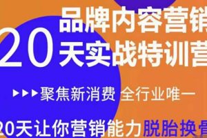 《內容營銷實操特訓營》20天讓你營銷能力脫胎換骨（價值3999）