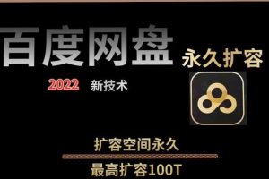 百度網盤無限擴容技術，外面賣399的，無論自己用還是用做引流都可以