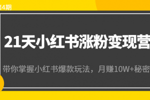 21天小紅書漲粉變現營（第4期）：帶你掌握小紅書爆款玩法，月賺10W+秘密