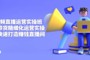 短視頻直播運營實操班，直播帶貨精細化運營實操，教你快速打造賺錢直播間