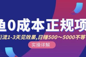 宇晨閑魚無貨源，十幾節(jié)課程豐富講訴閑魚賣貨技巧，價(jià)值6980