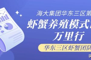 —個10畝魚塘養魚利潤10畝池塘養魚利潤