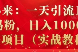 祖小來：一天引流100 寶媽粉，日入1000 的藍海項目（實戰教程）