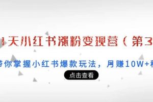 21天小紅書漲粉變現(xiàn)營（第3期）：帶你掌握小紅書爆款玩法，月賺10W 秘密