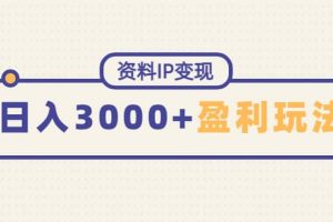 資料IP變現，持續性盈利玩法