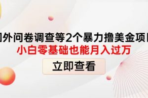 國外問卷調(diào)查等2個暴力擼美元項(xiàng)目，小白零基礎(chǔ)也能月入過萬