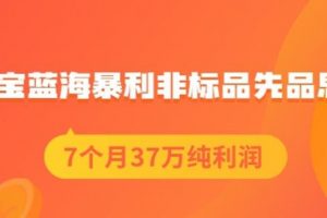 盜坤淘寶藍海暴利非標品先品思路，7個月37萬純利潤，壓箱干貨分享！【付費文章】