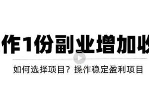 新手如何通過(guò)操作副業(yè)增加收入，從項(xiàng)目選擇到玩法分享！【視頻教程】