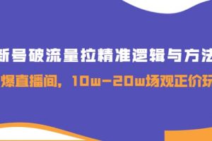 新號破流量拉精準邏輯與方法，引爆直播間，10w-20w場觀正價玩法