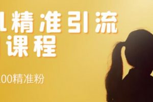 soul精準(zhǔn)引流系列課程，每天引流100精準(zhǔn)粉