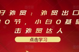 業仔外貿：外貿出口詳解30節，小白0基礎進擊外貿達人 價值666元