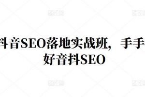 王通·抖音SEO落地實(shí)戰(zhàn)班，手?手帶你做好音抖??SEO