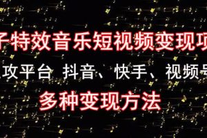《粒子特效音樂短視頻變現項目》主攻平臺 抖音、快手、視頻號 多種變現方法