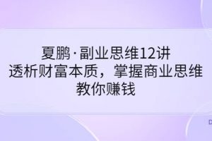 夏鵬·副業思維12講，透析財富本質，掌握商業思維，教你賺錢