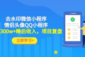 去水印微信小程序 情侶頭像QQ小程序，項目復盤