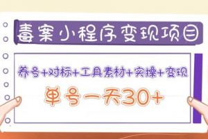 毒案小程序變現項目：養號 對標 工具素材 實操 變現