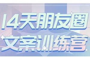 S商學(xué)院·14天朋友圈文案訓(xùn)練營，聽了就會寫，寫了就會賣的朋友圈文案課