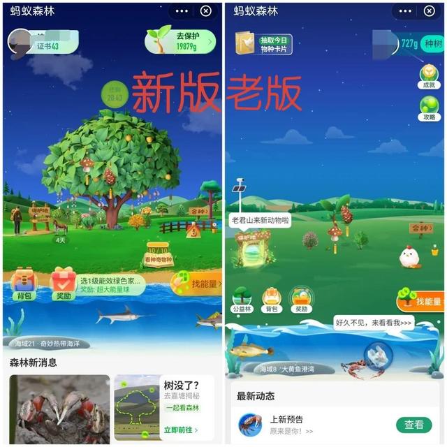 螞蟻森林—天9000能量螞蟻森林一天9000能量森林能量產生規則插圖 螞蟻森林—天9000能量螞蟻森林一天9000能量森林能量產生規則插圖