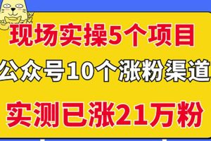 現(xiàn)場實(shí)操5個(gè)公眾號項(xiàng)目，10個(gè)漲粉渠道，實(shí)測已漲21萬粉！